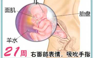 海外助孕与中国政策有何不同？跨境辅助生育的法律风险科普