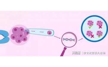 艾伦沈腾远赴俄罗斯飙戏