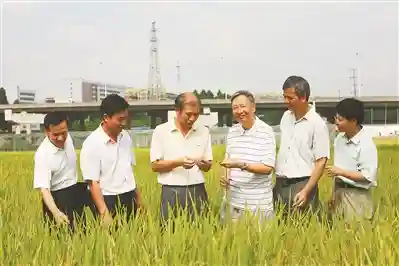 【2026实测】国内供卵试管费用明细：从检查到移植每一项花在哪？
