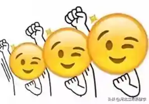 供卵试管婴儿流程全解析：从排队登记到移植需要几步？