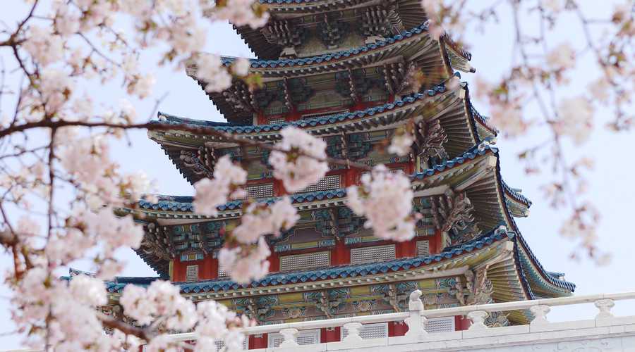 24fall还能申请，QS前100英国院校这些法学硕士别错过