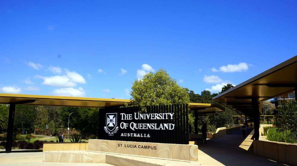 官宣！这所大学提高雅思要求！准留学生：悬着的心终于死了...